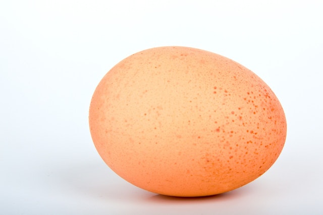 egg