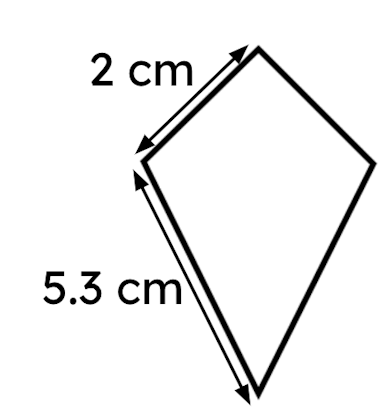 Calculate the perimeter of the kite.