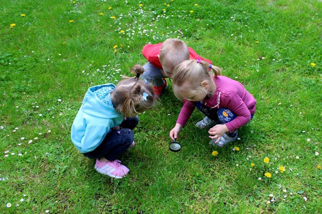 Scientists look closely at plants to see how they grow and change. What skill are they using?