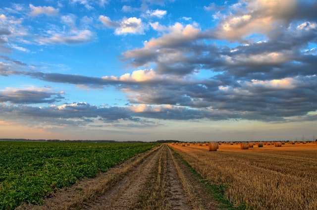 Which is the most appropriate description of the clouds? 