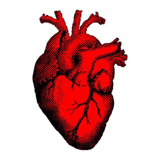 What is the name of the arteries that supply the heart muscle itself with blood?