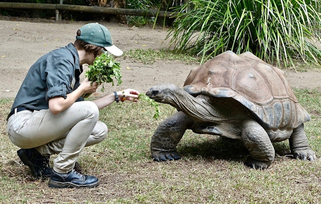 An animal that eats only plants, such as leaves and berries is...