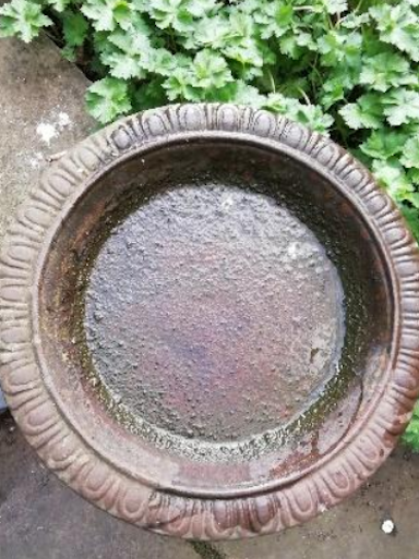 It is winter. The bird bath in the school garden needs refilling. Some primary children discuss whether evaporation could be the reason that the bird bath is empty. Which reason is correct?