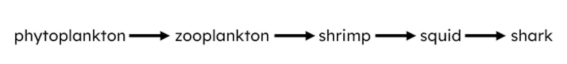 The image below shows a food chain diagram. Which organism is the apex predator?