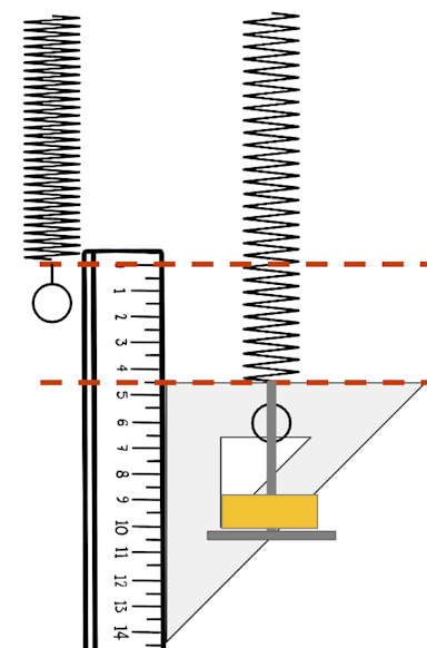 The figure shows a spring before and after a weight has been added. What is the extension of the spring when the mass is placed on it?