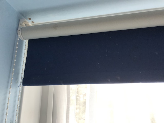 a window blind