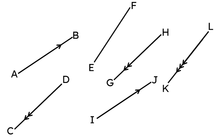 Match the line segment to the correct description that completes each sentence.