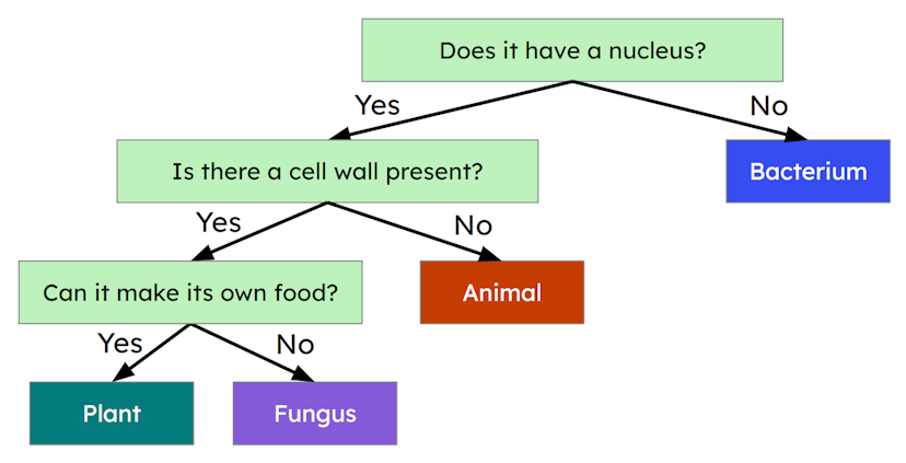 An image in a quiz