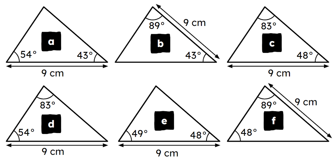 An image in a quiz