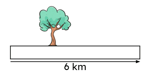 It is 6 km from home to school. One third of the way to school there is a big tree. How far away is the tree from home? The tree is <span class="blank">______</span> km away from home.