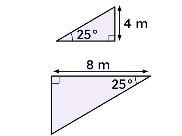 Which of the following statements is true for these triangles? 