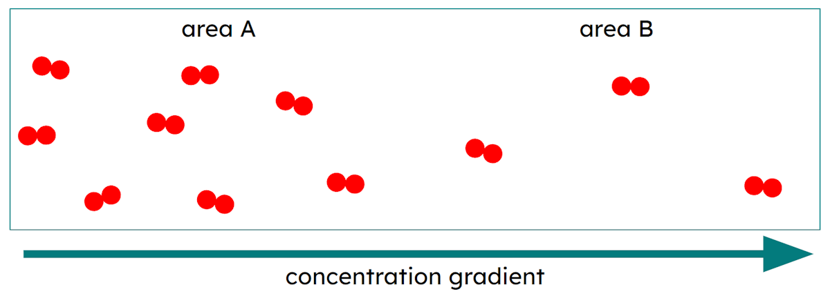 In which direction will there be net movement of particles?