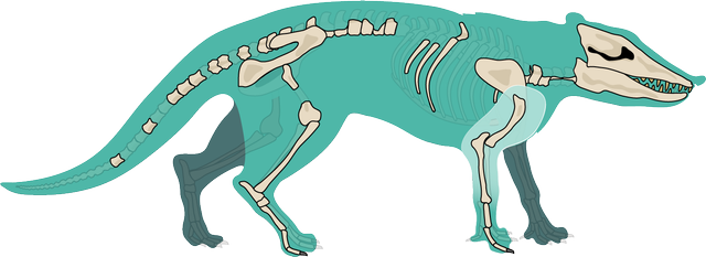 Lesson: Common ancestors and transitional species | Foundation | AQA ...