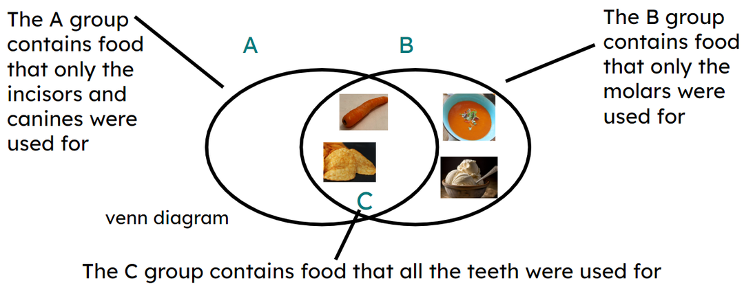 An image in a quiz