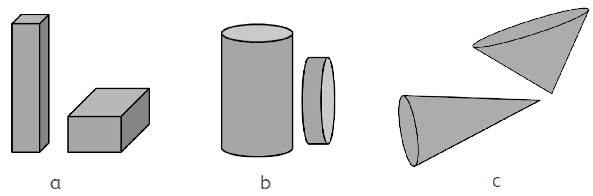 An image in a quiz