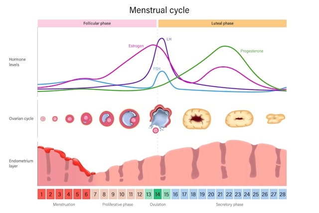 An image in a quiz