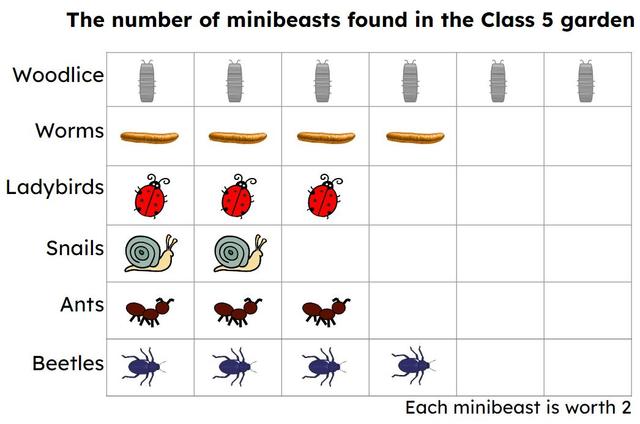 An image in a quiz