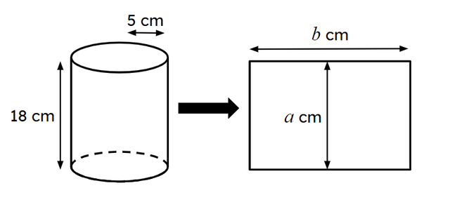 A cylindrical tube is cut and unfolded into a rectangle. Find the values of <Math>a</Math> and <Math>b</Math> on the lengths of the rectangle.