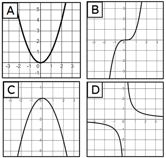 An image in a quiz