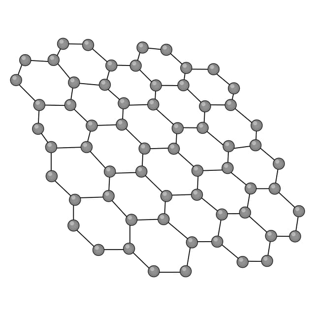 An image in a quiz
