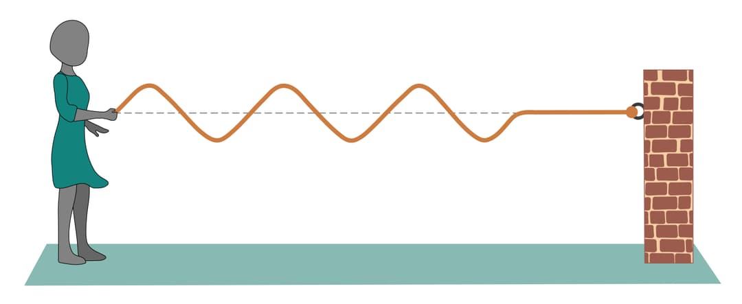 An image in a quiz