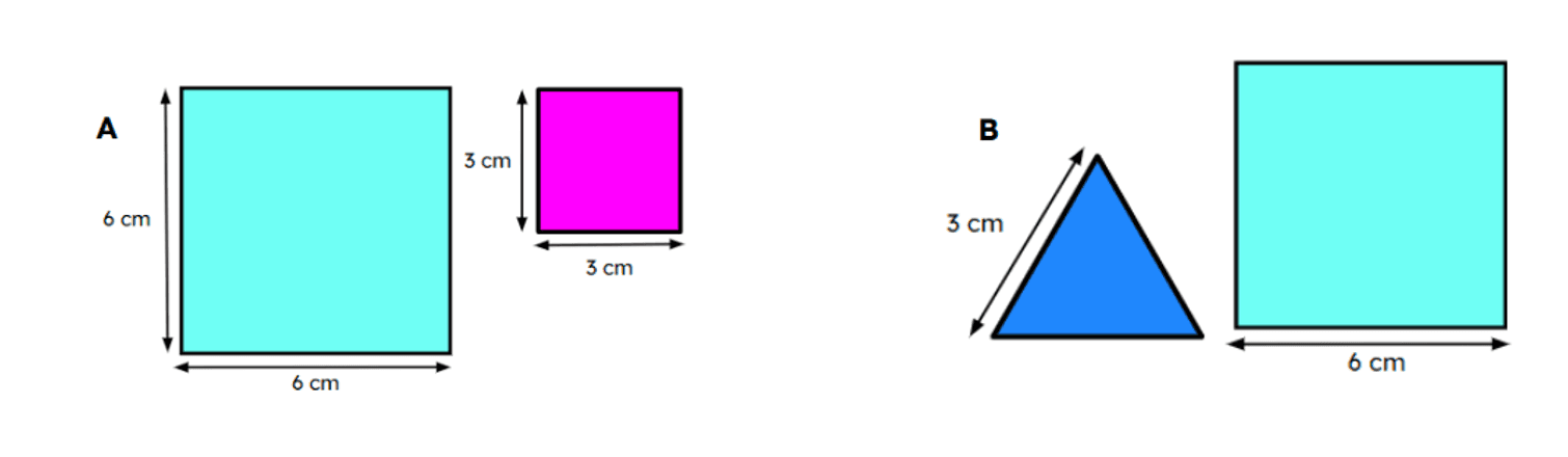 An image in a quiz