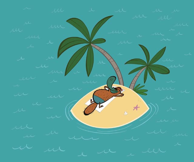 An image in a quiz