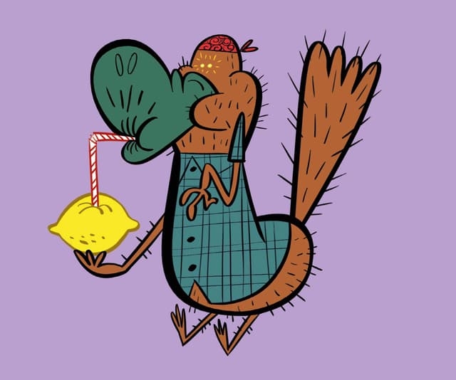 An image in a quiz