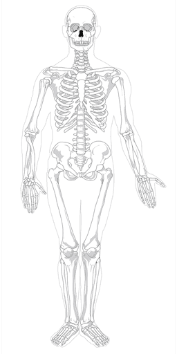 An image in a quiz