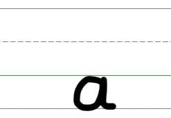 An image in a quiz