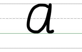 An image in a quiz
