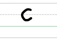 An image in a quiz