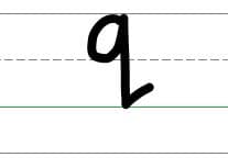 An image in a quiz