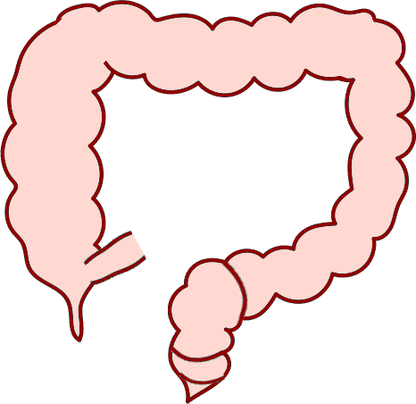 An image in a quiz