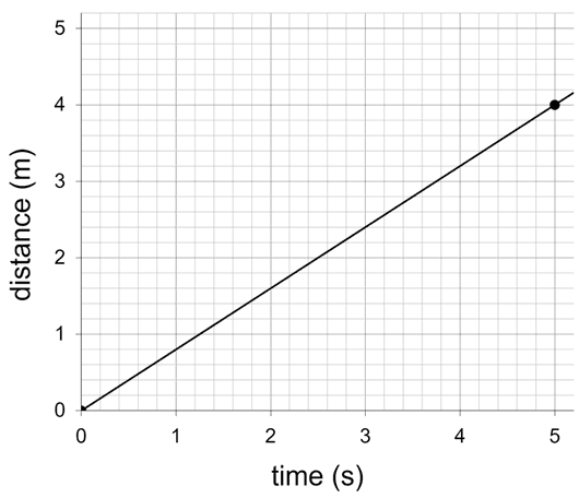An image in a quiz