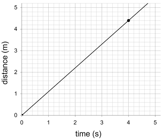 An image in a quiz