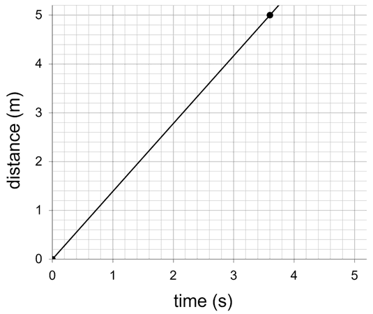 An image in a quiz