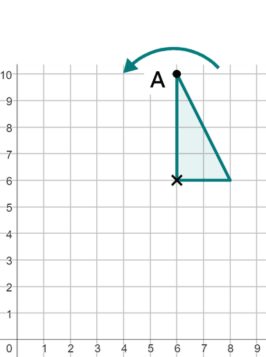 An image in a quiz