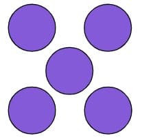 An image in a quiz