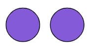 An image in a quiz