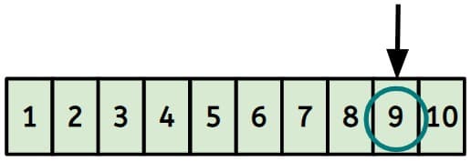 An image in a quiz