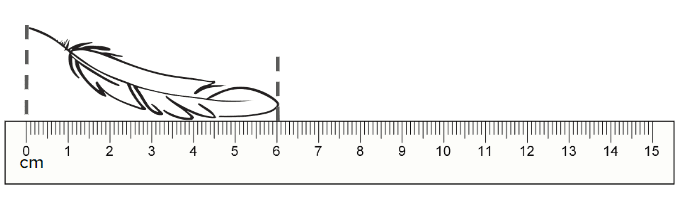 An image in a quiz