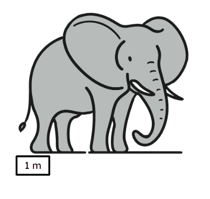 An image in a quiz