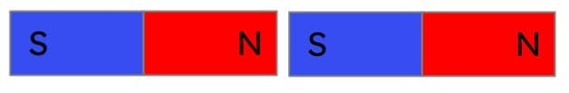 An image in a quiz