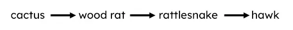 An image in a quiz