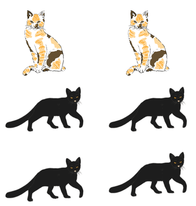 An image in a quiz