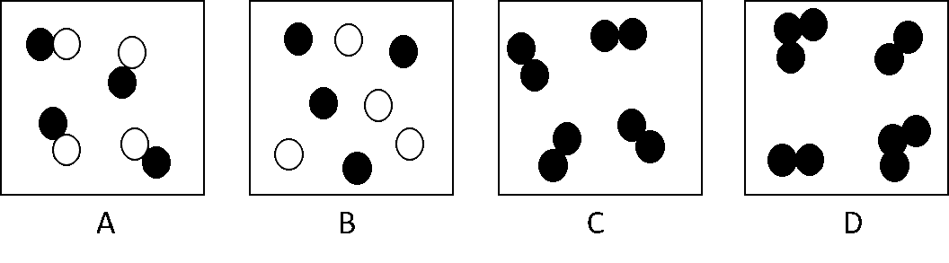 An image in a quiz