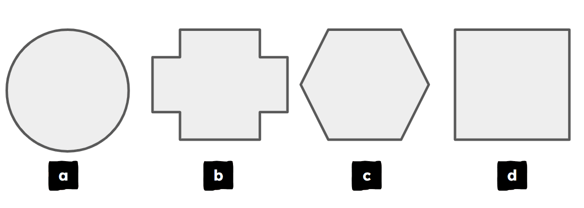 An image in a quiz