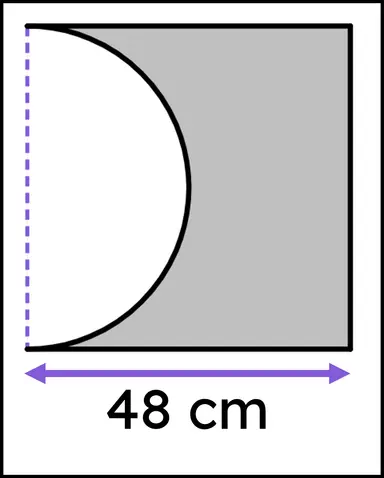An image in a quiz