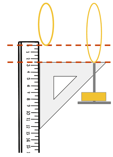 An image in a quiz